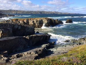 Madrocks on the Shoreline Heritage Walking Trail Photo: Peter Jackson